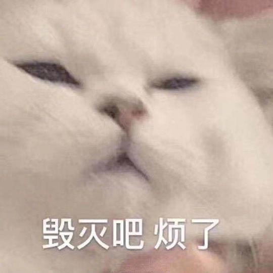  打油诗人的相册存点表情嘿嘿嘿