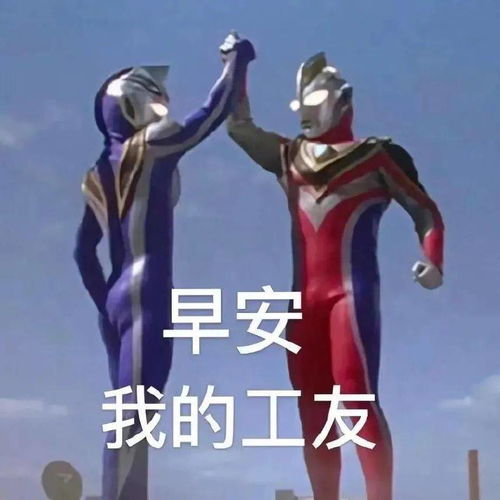  头像表情包
