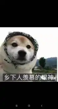 狗头表情包原型谢谢老板