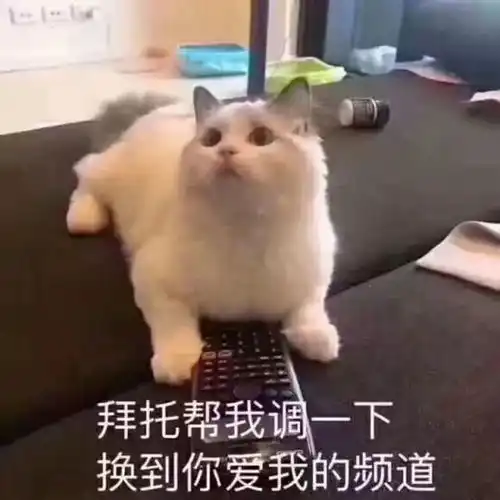 从铜盘路36号至羊坊店西路xx号 从铜盘路36号至羊坊店西路xx号