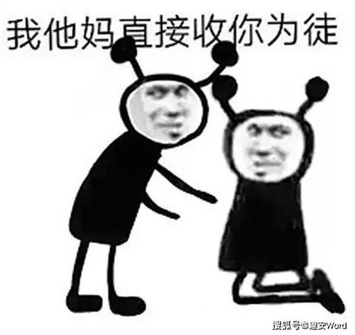 熊猫修仙表情包等级阴阳