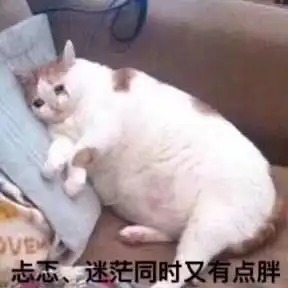 忐忑图片表情包文化