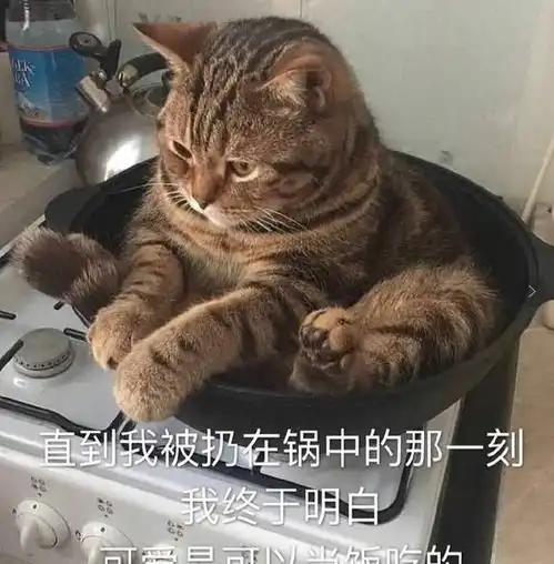  初代老公跌落神坛便再无翻身之日,是时运不济还是太作了