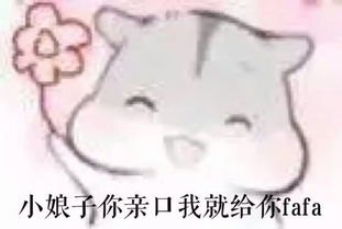  要这样的仓鼠小表情,越多越好,都来吧都来吧
