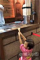 懵逼表情包gif图猫咪