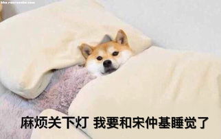  从太阳的后裔看宋氏撩妹大法五招教你搞定女神