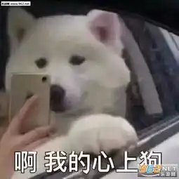  扇贝听了都想鼓掌gif动图表情包噫呜呜噫表情包下载乐游网游戏下载