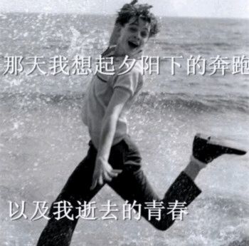  沙雕动图表情包