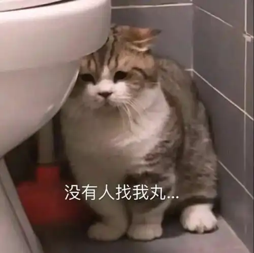  笑死人不偿命的沙雕文案