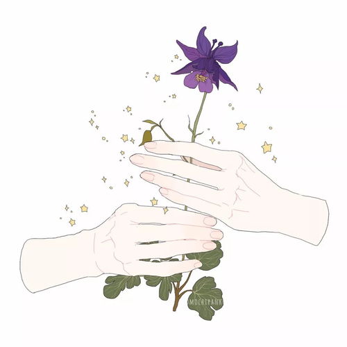  有一束花,等你来签收