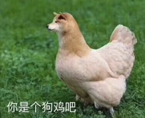  中500w,考上清华,哪个难每日轻松一刻6月5日晚间版