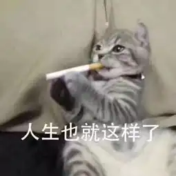  走过最苦的路,不是渣男的套路是看清专业的求学路