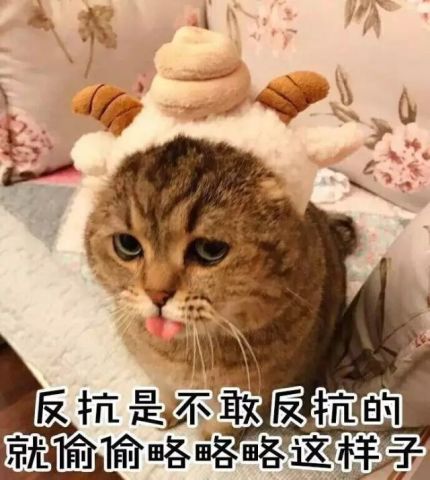  你深夜滞留操场,就做这个