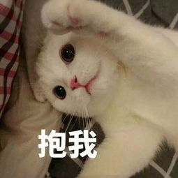  沙雕表情包假如我年少不自卑妹妹肯定一大堆