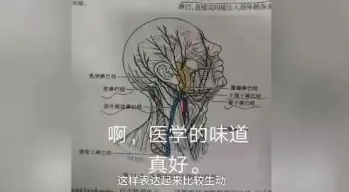  大学老师把孙子兵法讲成相声,10万学生抢课医科大学举办表情包比赛,医学生专属x光点赞手......