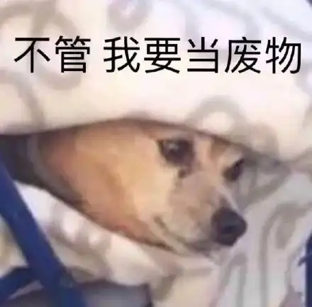  幽默逗趣的句子,日常一乐,精辟逗比,笑翻众人359坑爹小哥哥美女路考手机网易网