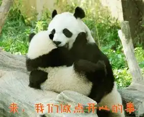 熊猫的表情包开心笑话