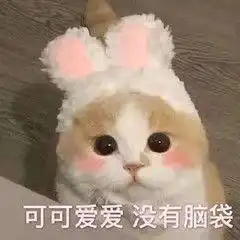  雷收藏夹