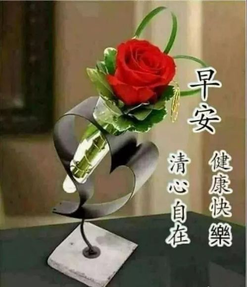 新春祝福图片表情包同事