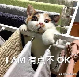 深圳人,最新法定结婚年龄公布网友改到30岁吧...