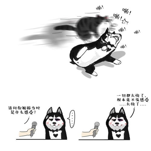  就喜欢你看不惯我又干不掉我的样子套装全二册12白茶吾皇巴扎黑联袂出镜