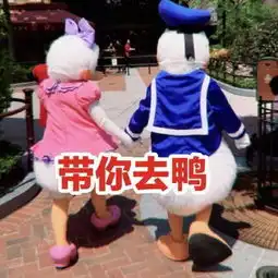  唐老鸭表情包大全54p