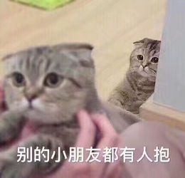  被一个可爱的男孩追是什么体验
