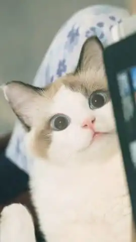  忍你,不是怕你让你,不是欠你