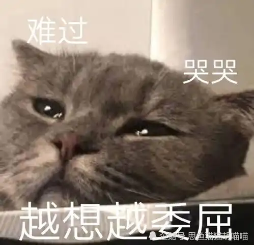  又到了用猫暖脚的季节陆游