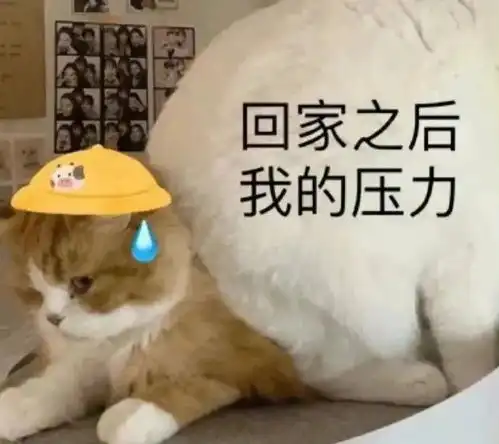 妹妹表情包卡点养宠