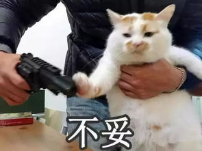  每个脱发的人,都该试试这款纯植物草本洗发水