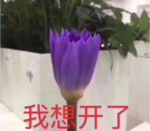 可爱想表情包我自闭了
