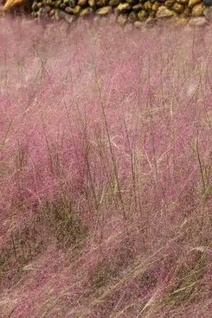 民生服务实用新闻 民生服务实用新闻