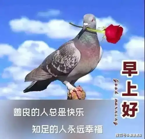  超温馨早上好问候语动画表情图片早晨祝福语句子表情图