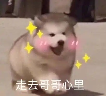  四更无处安放的表情包lulu猪表情在最后嗷