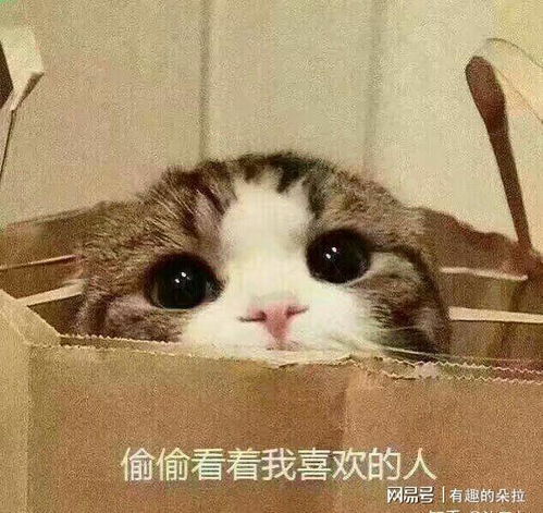  抖音中那些散发阵阵恶臭的恋爱段子