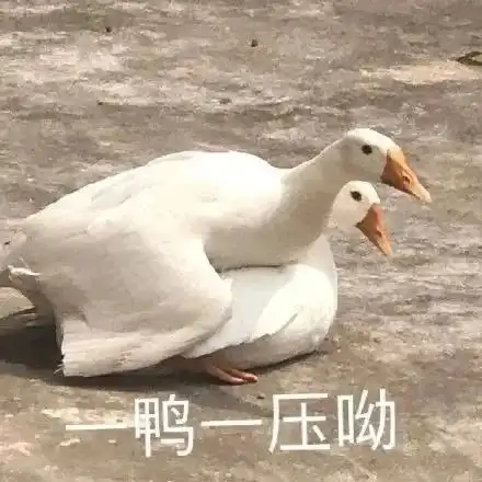  表情包分享被指到的人请我喝奶茶