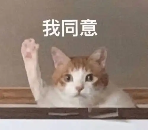 春节回家,网友给猫准备了一屋子猫粮,猫这是最后亿顿  春节回家,网友给猫准备了一屋子猫粮,猫这是最后亿顿