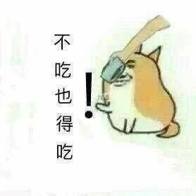 狗吃屎下落动态表情包狗吃屎的图片大全下载表情包gif乐游网游戏下载