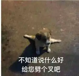 表情包分类上海人