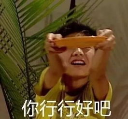  这四张新卡,必须给我安排进你的卡组里