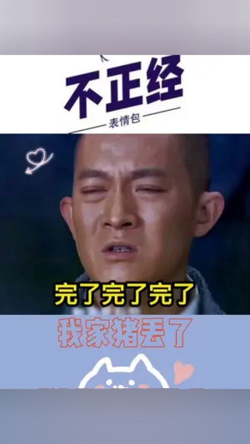 猪和猪亲吻表情包艾特