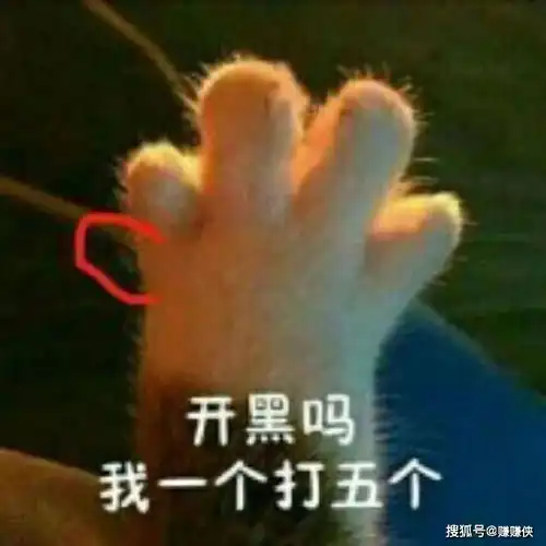  搞笑表情包图片哪里跑,我一个可以打五