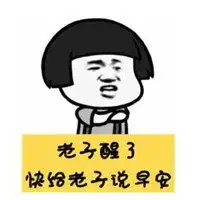  和对象说早安的表情包微信头像图片大全