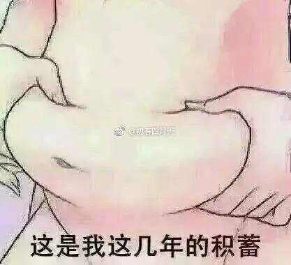  关于动物的表情图