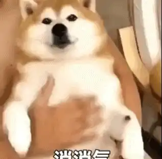  表情包沙雕网友笑死我了