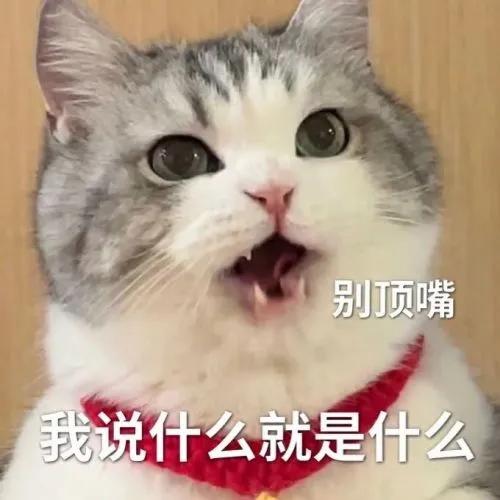  黑猫舔爪表情包微信怎么搜今日头条
