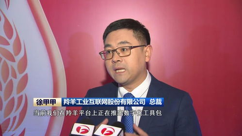  合肥倾力打造数字化转型服务生态圈