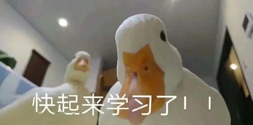 对不起鸭的表情包双鱼座