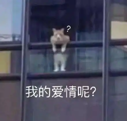  如何拥有一个济大女朋友